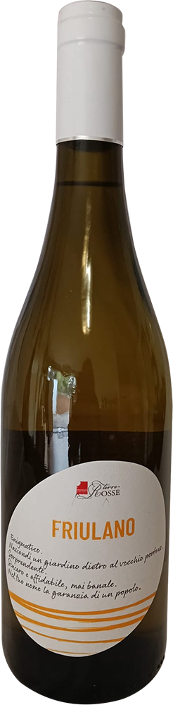 2024 Friulano Friuli DOC 2024 Friulano Friuli DOC