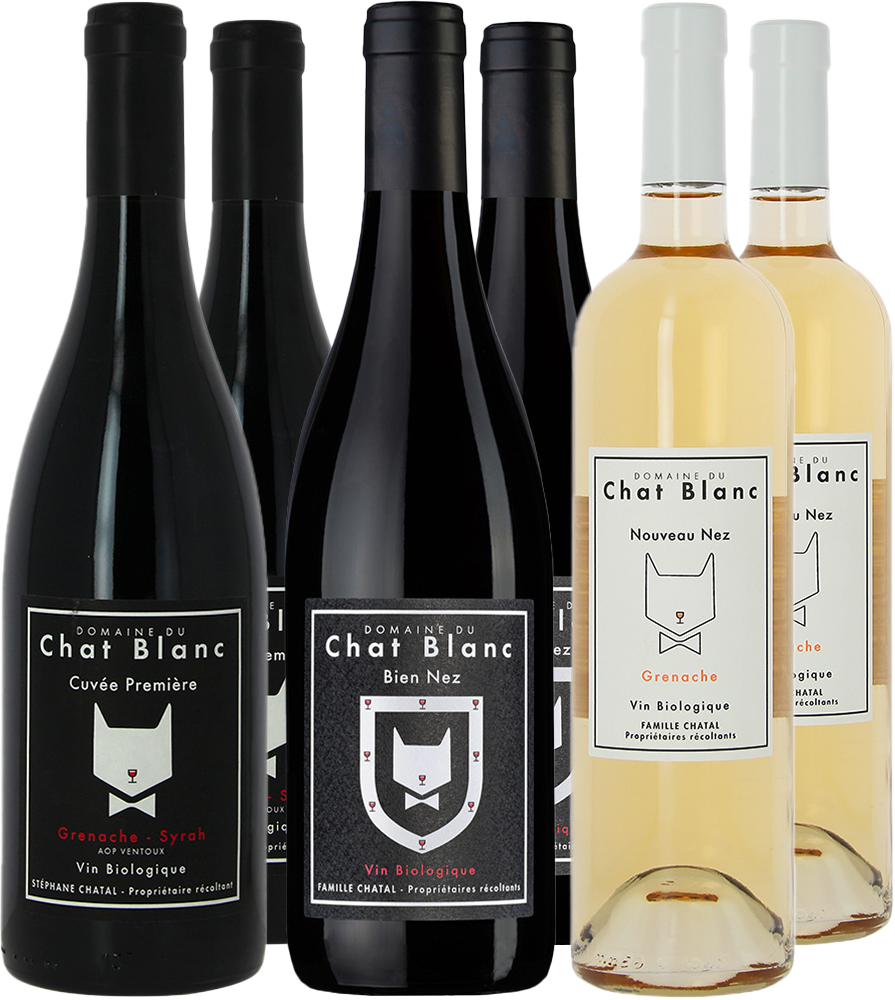 Box Degustazione Domaine du Chat Blanc BIO Box Degustazione Domaine du Chat Blanc BIO