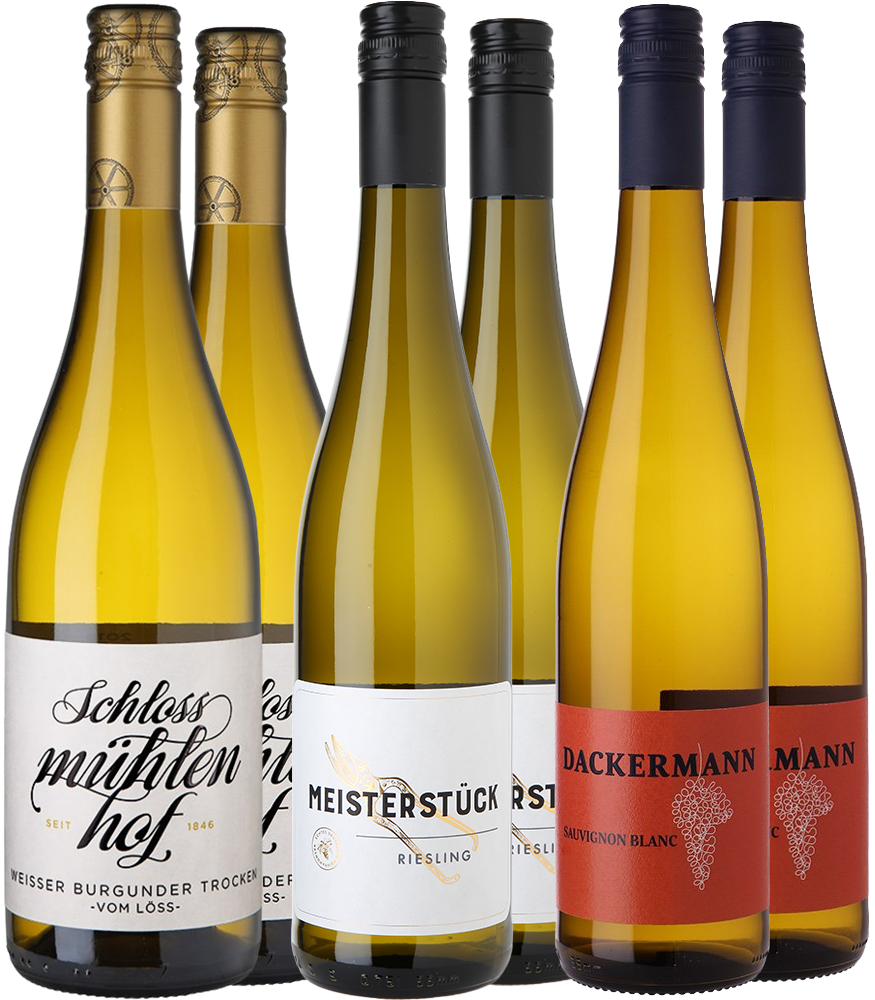 WirWinzer Select Weißwein Entdecker-Paket