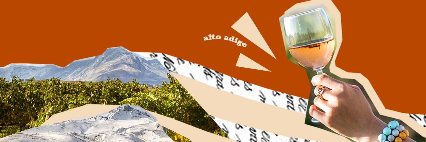 Vino Alto Adige: dove la montagna incontra l’eleganza nel bicchiere Vino Alto Adige: dove la montagna incontra l’eleganza nel bicchiere