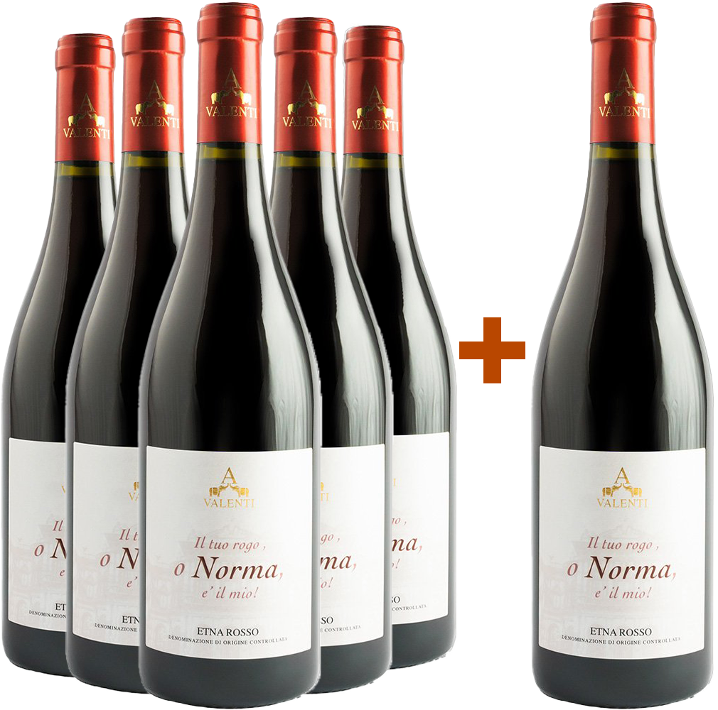 5+1 Norma Etna Rosso DOC 5+1 Norma Etna Rosso DOC