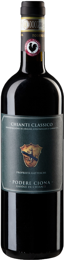 2021 Chianti Classico Annata DOCG