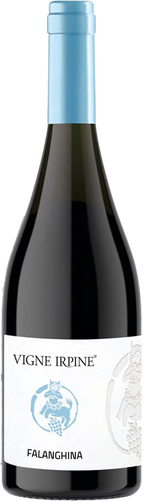 2024 Falanghina Irpinia DOC 2024 Falanghina Irpinia DOC