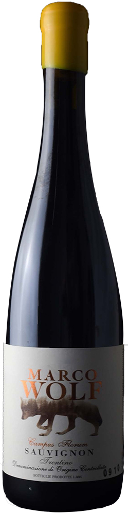 2024 Sauvignon Campus Florum Trentino DOC