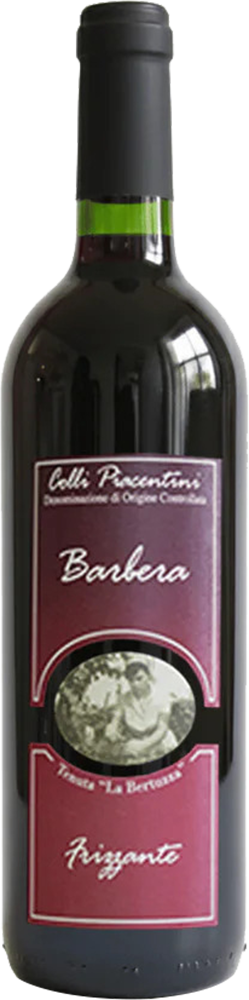 Barbera Frizzante Colli Piacentini DOC