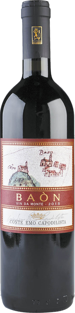 2019 Baon Rosso Veneto IGT