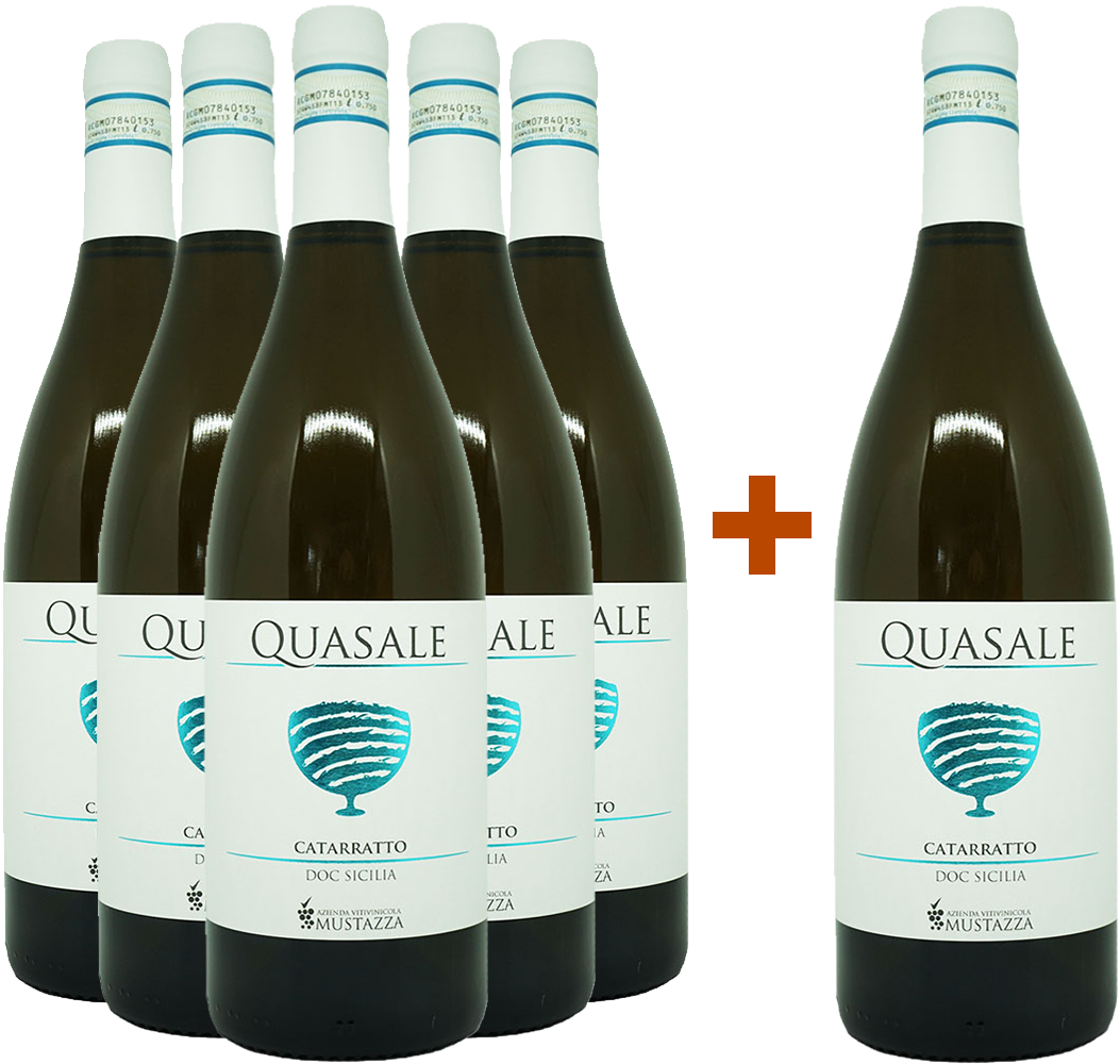 5+1 Catarratto Sicilia DOC