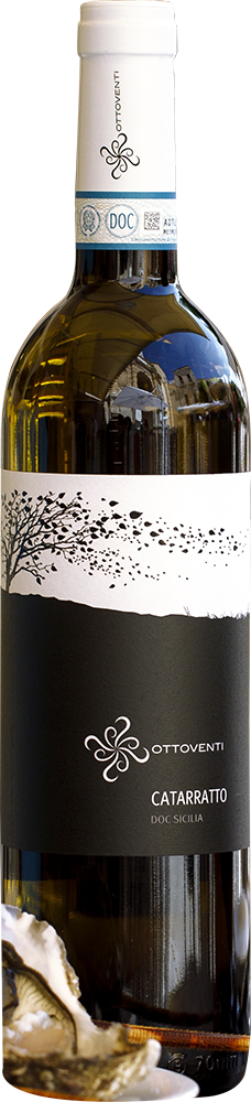 2023 Catarratto Sicilia DOC BIO