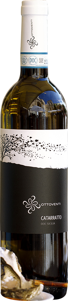 2023 Catarratto Sicilia DOC BIO 2023 Catarratto Sicilia DOC BIO