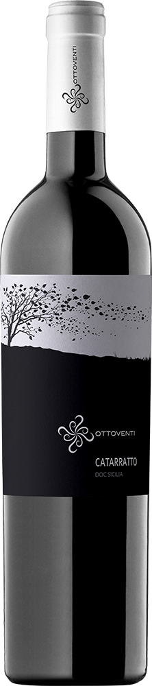 2023 Catarratto Sicilia DOC BIO 2023 Catarratto Sicilia DOC BIO