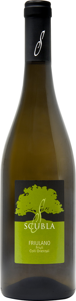 2024 Friulano Friuli Colli Orientali DOC 2024 Friulano Friuli Colli Orientali DOC