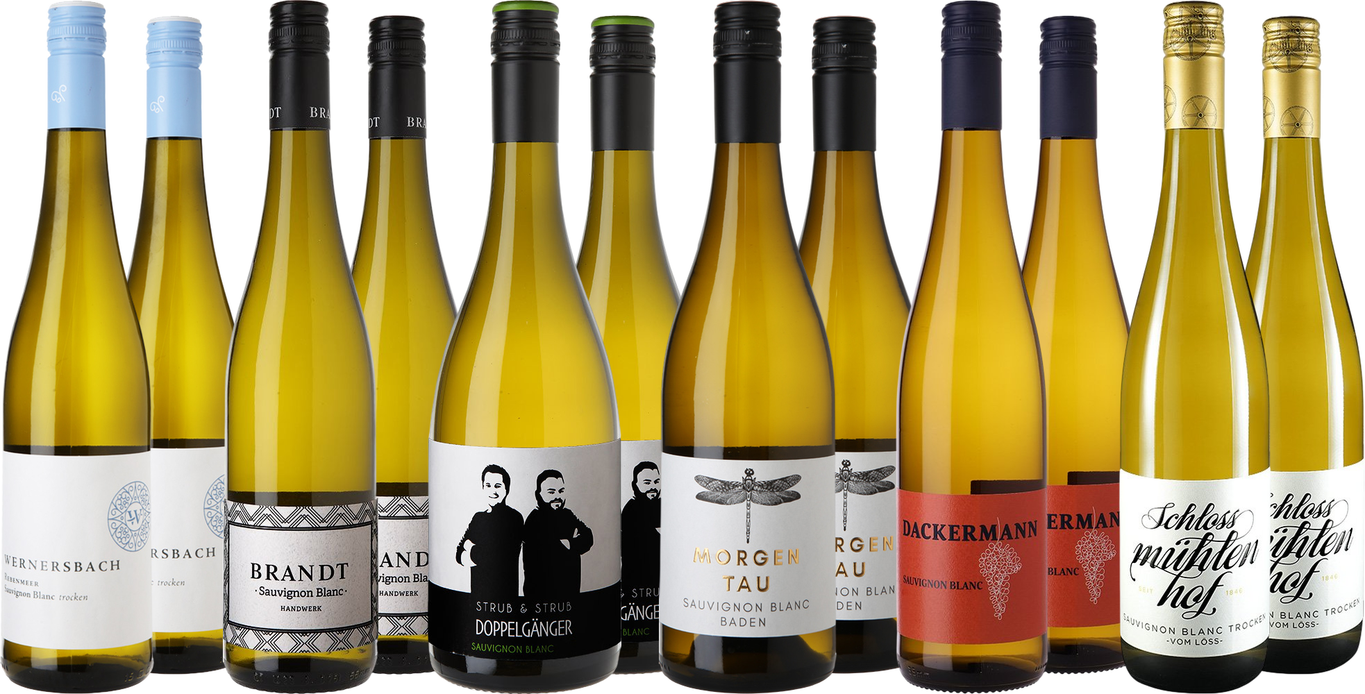WirWinzer Select Back-up: Großes Sauvignon Blanc Entdecker-Paket