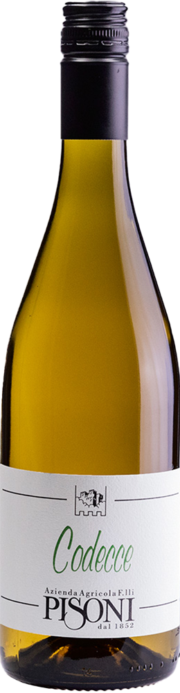 2024 Codecce Vigneti delle Dolomiti IGP BIO 2024 Codecce Vigneti delle Dolomiti IGP BIO