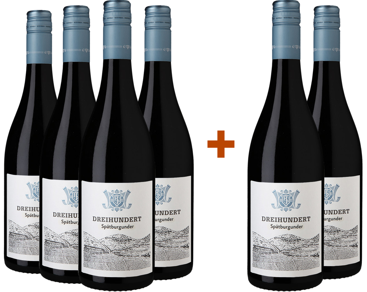 Weingut Hahn Pahlke 4+2 Paket Dreihundert Spätburgunder