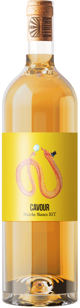 2023 Cavour IGP BIO 2023 Cavour IGP BIO