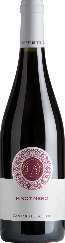 2024 Pinot Nero Friuli Colli Orientali DOC