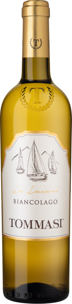 Tommasi Family Estates 2023 Tommasi Le Lusuri Biancolago