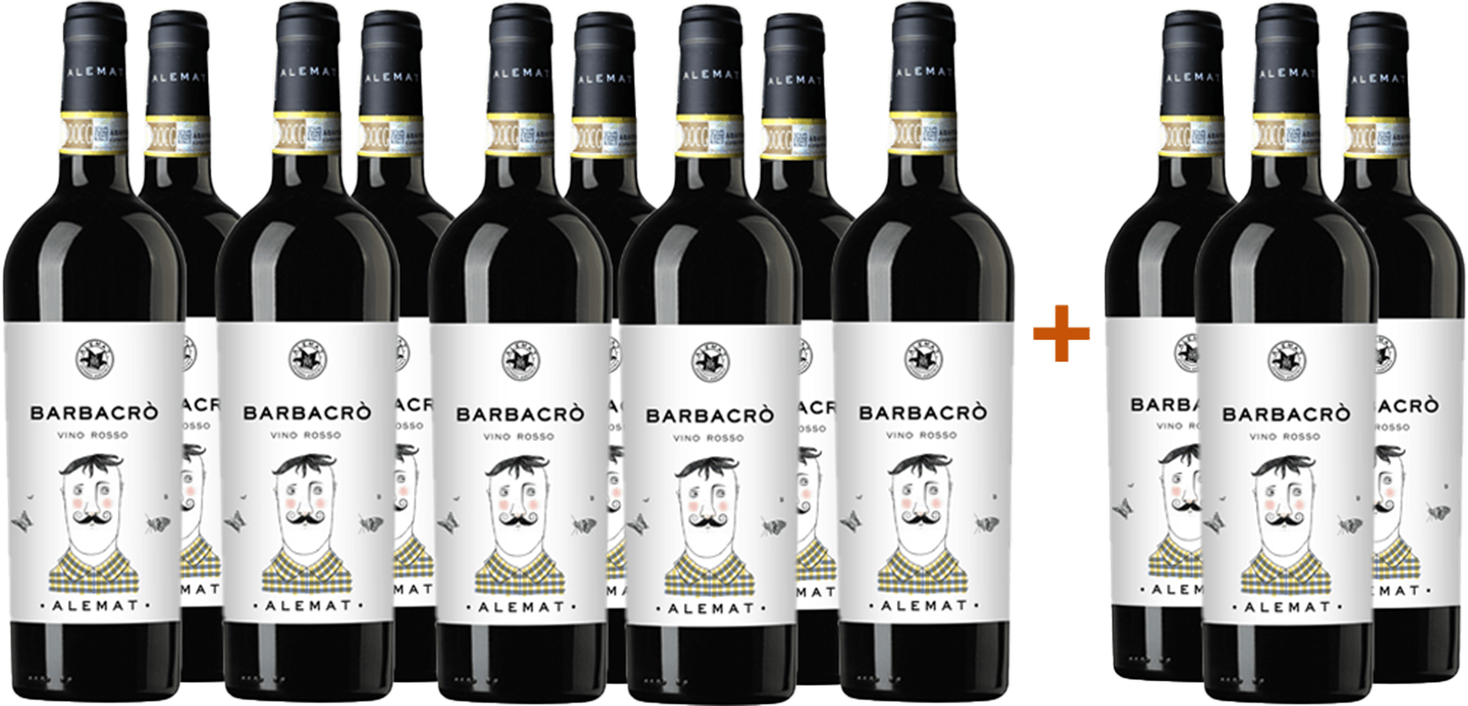 9+3 Barbacrò Vino Rosso BIO