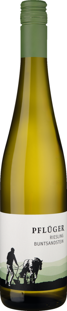 Weingut Pflüger 2025 Pflüger Riesling vom Buntsandstein BIO