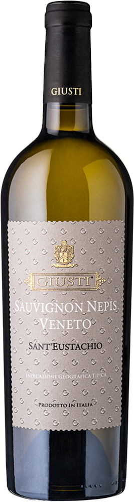 2022 Sauvignon Nepis Sant'Eustachio Veneto IGP