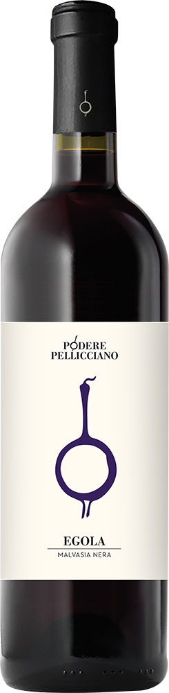 2019 Malvasia Nera Toscana IGP