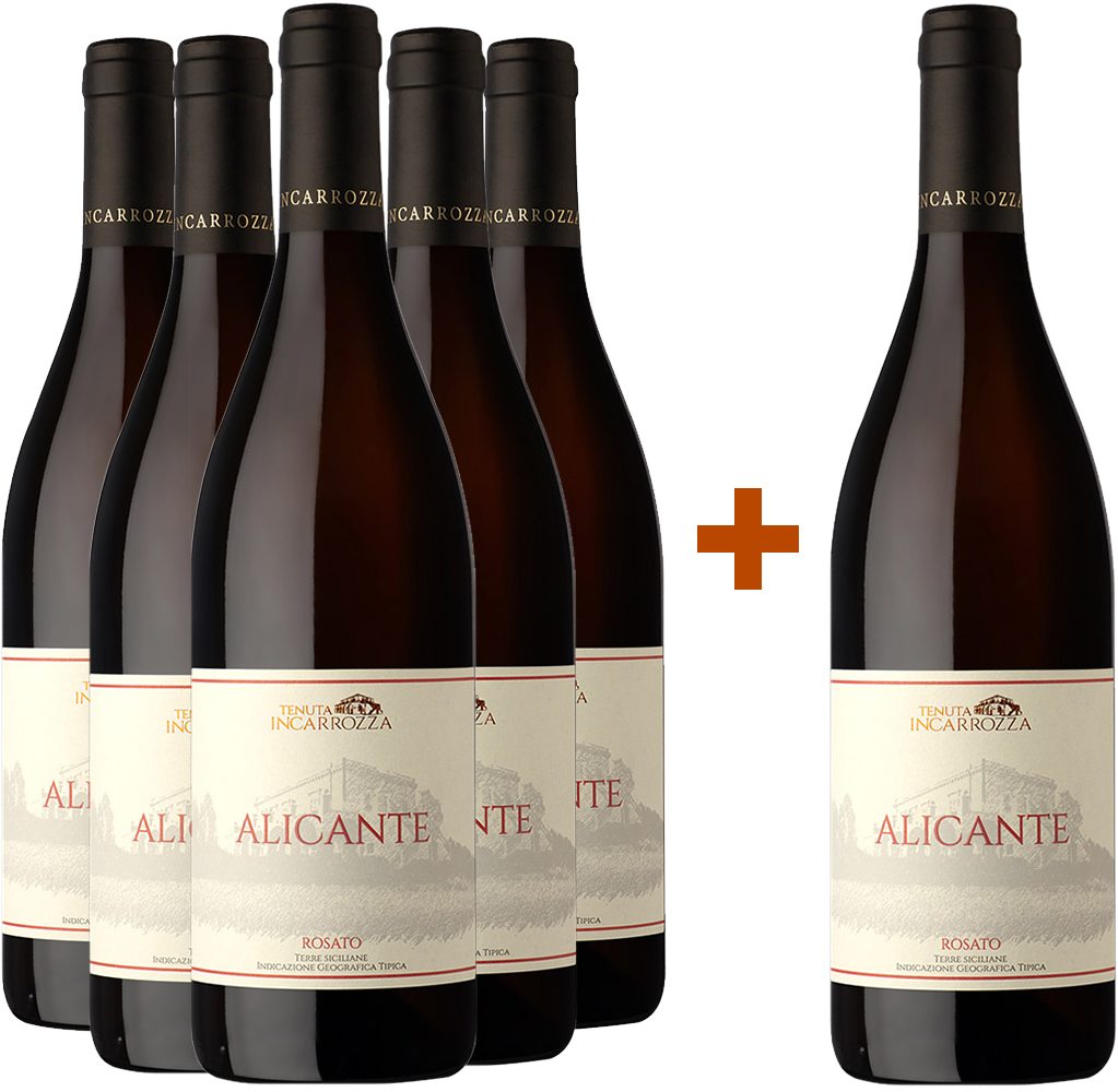 5+1 Alicante Rosato Terre Siciliane IGP 5+1 Alicante Rosato Terre Siciliane IGP