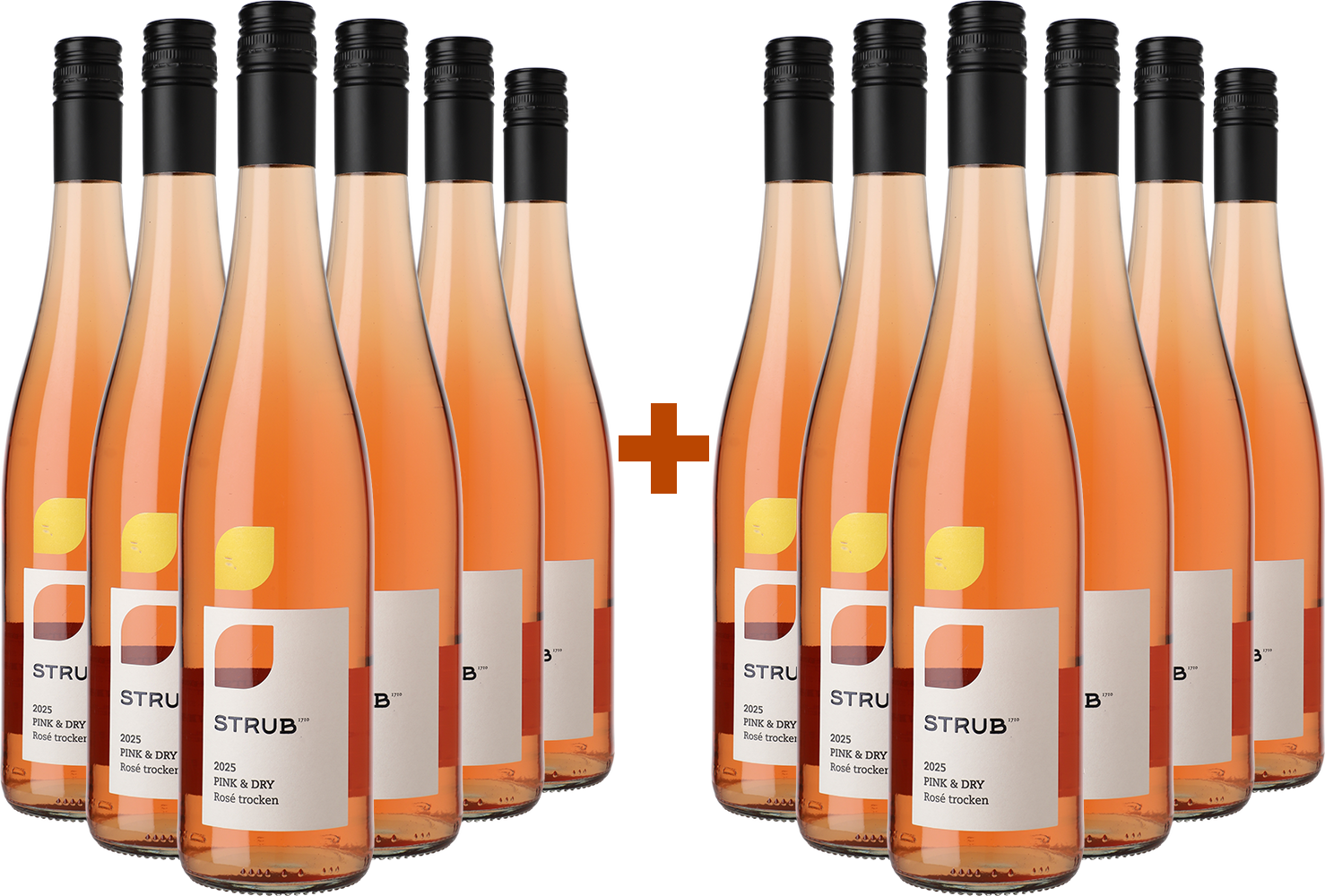 Weingut Strub 1710 6+6 Paket Pink & Dry Rosé