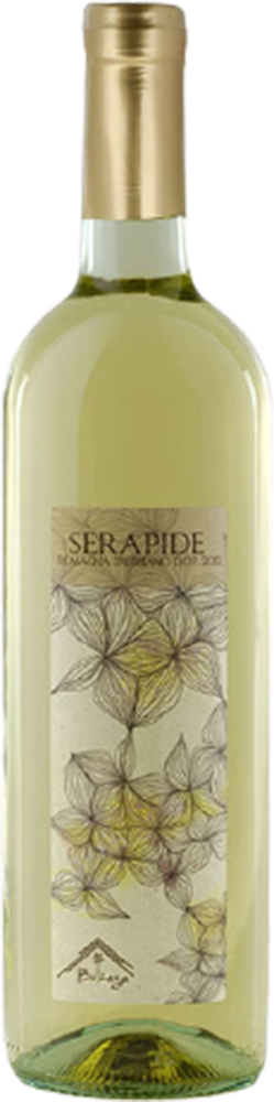 2024 Serapide BIO 2024 Serapide BIO