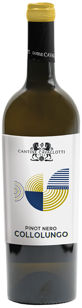 2024 Collolungo Provincia di Pavia IGP 2024 Collolungo Provincia di Pavia IGP