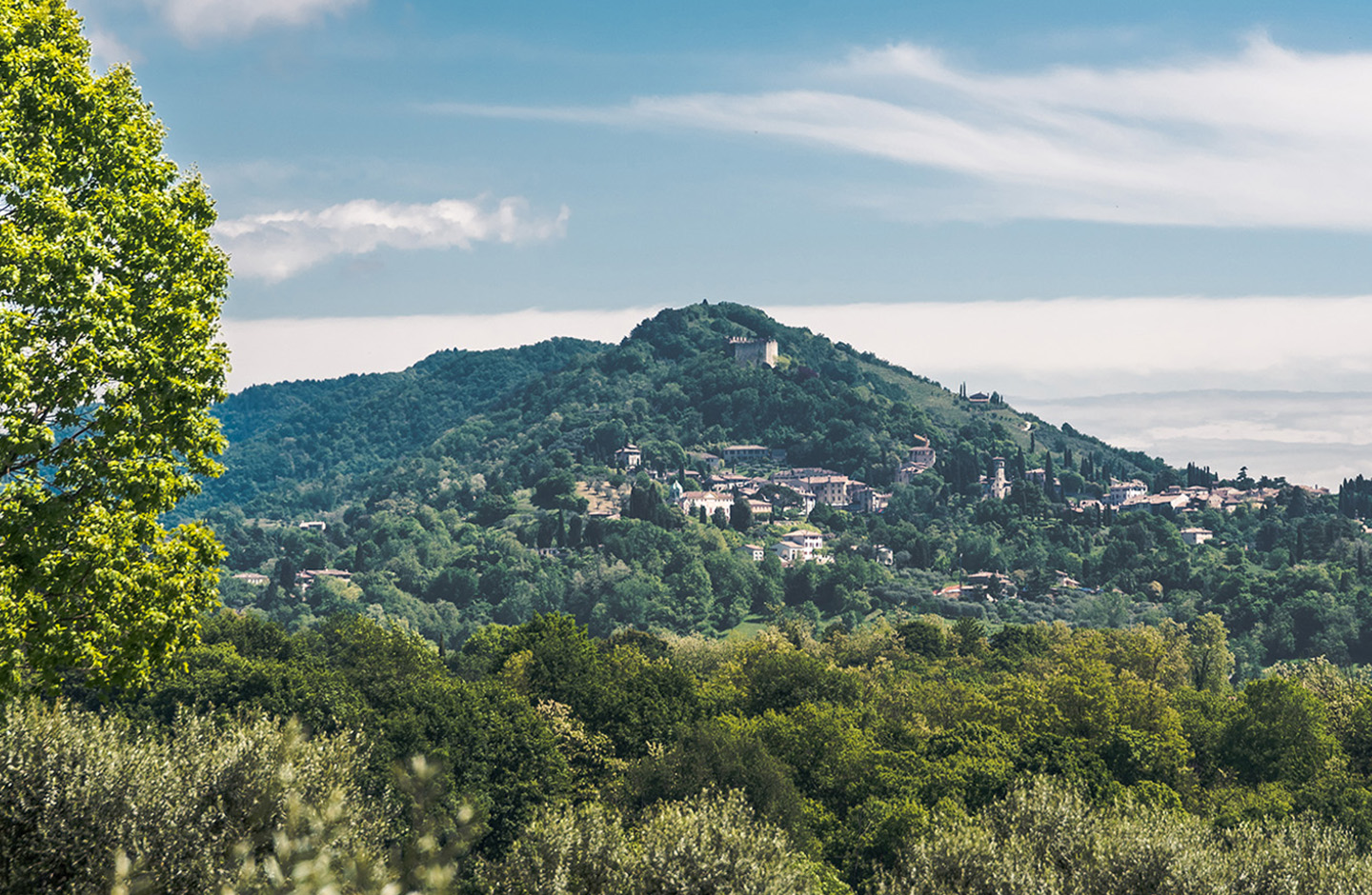 manufacturer_tenuta_baron_winery_slide_1