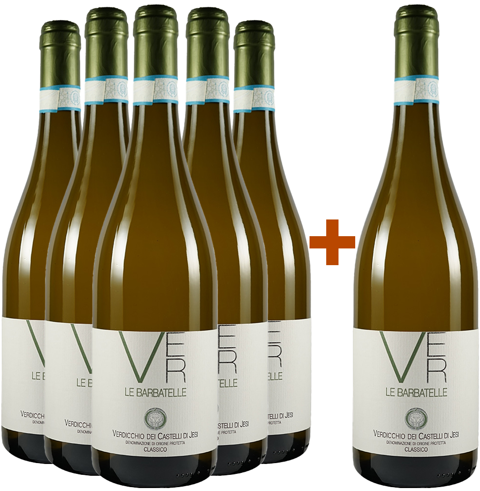 5+1 Le Barbatelle Verdicchio dei Castelli di Jesi DOC 