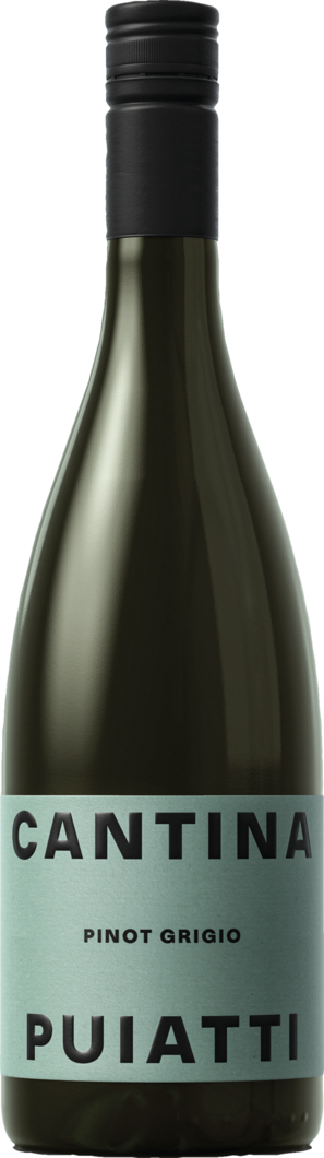 WirWinzer Select 2025 Puiatti Pinot Grigio