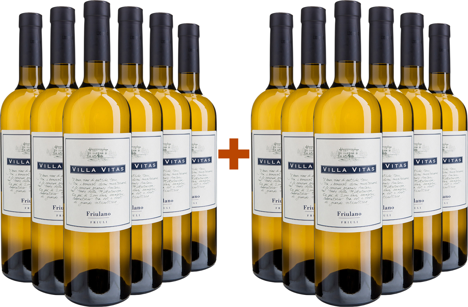 6+6 Friulano Friuli DOC