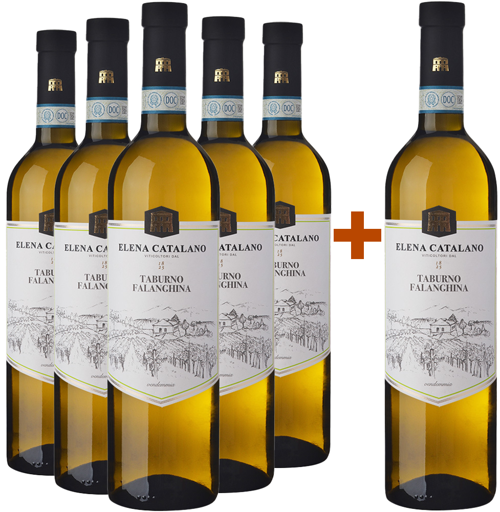 5+1 Falanghina Del Sannio Taburno DOC 5+1 Falanghina Del Sannio Taburno DOC