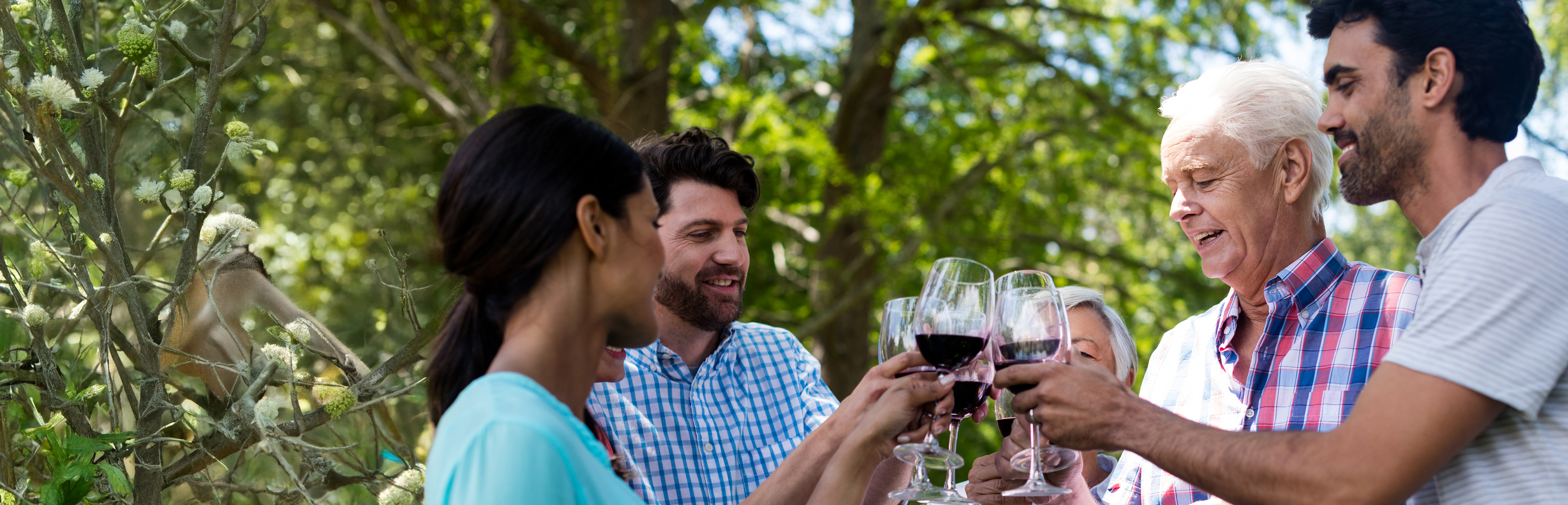 banner festa del pap banner festa del pap