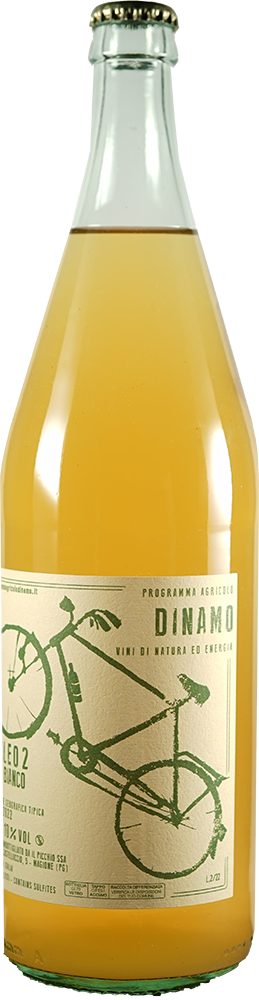 2022 Nucleo 2 1,0 L 2022 Nucleo 2 1,0 L