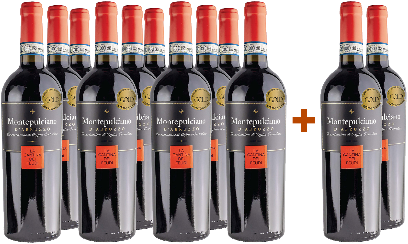 10+2 Montepulciano D'Abruzzo DOC