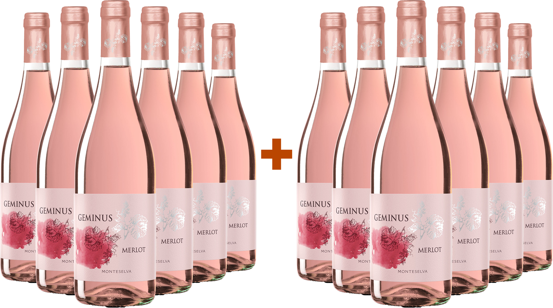 6+6 Geminus Merlot