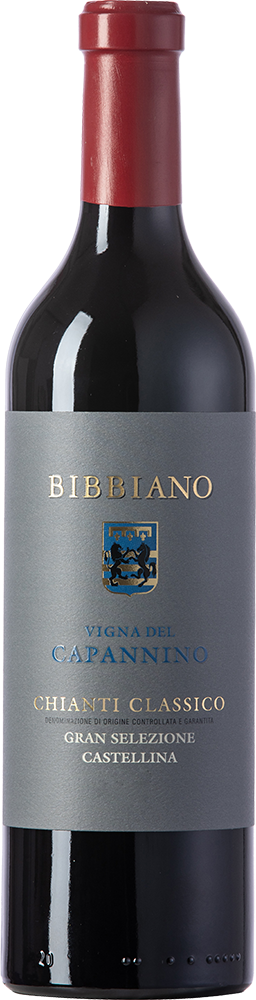 2021 Vigna del Capannino Chianti Classico DOCG BIO
