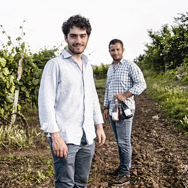 Sacco Vignaioli Apuli