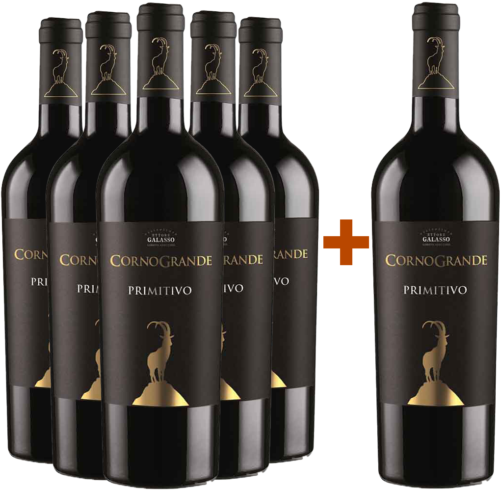 5+1 Corno Grande Primitivo Colli Pescaresi IGP 5+1 Corno Grande Primitivo Colli Pescaresi IGP