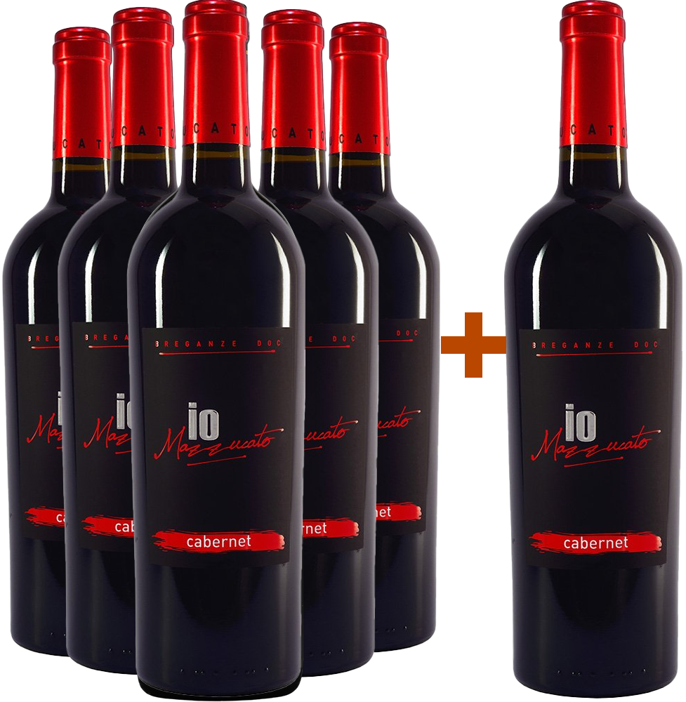 5+1 Cabernet Sauvignon Breganze DOC 5+1 Cabernet Sauvignon Breganze DOC